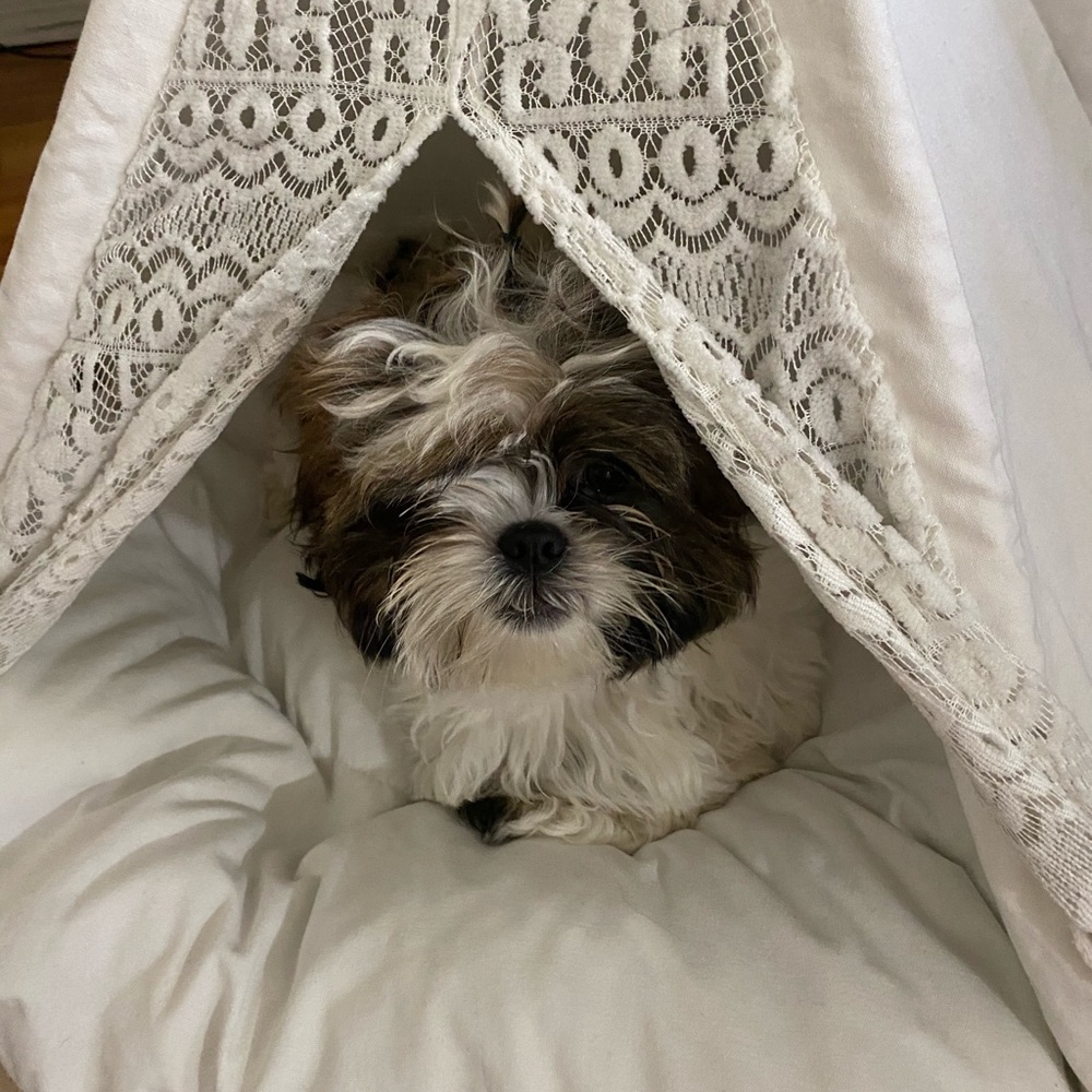 Meet your Posher, Sonja